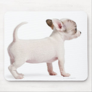 Alfombrilla De Ratón Vista lateral del perrito de la chihuahua (10