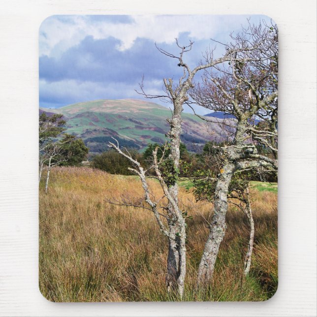 ALFOMBRILLA DE RATÓN VISTAS DE GALES (Frente)