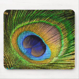 Alfombrilla De Ratón Vivid Feather