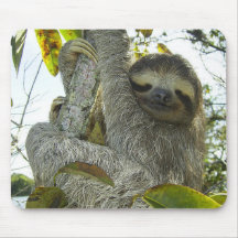 Vivir como una eslovaca