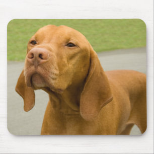 Alfombrilla De Ratón Vizsla