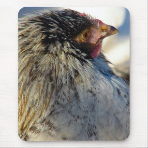 Alfombrilla De Ratón Vota El Pollo