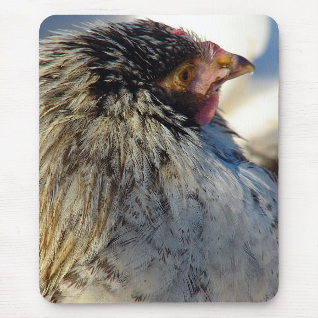 Alfombrilla De Ratón Vota El Pollo (Frente)