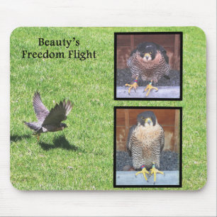 Alfombrilla De Ratón Vuelo Mousepad de la libertad de la belleza