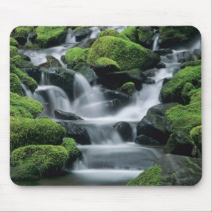 Alfombrilla De Ratón WA, PN Olímpico, Valle de Sol Duc, arroyo con