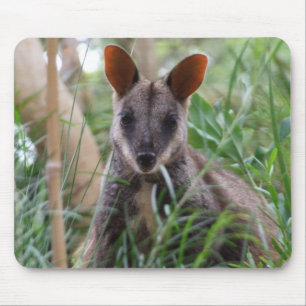 Alfombrilla De Ratón Wallaby de roca