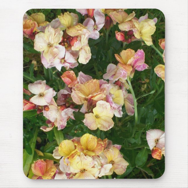 Alfombrilla De Ratón Wallflowers Mousepad (Frente)
