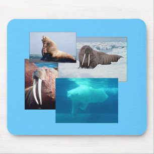 Alfombrilla De Ratón Walrus, Oso Polar, Mousepad de león marino