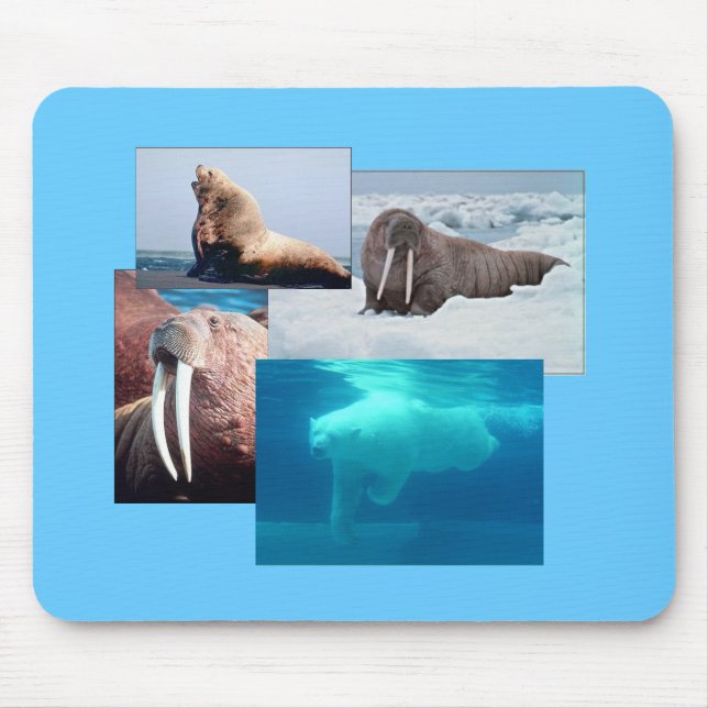 Alfombrilla De Ratón Walrus, Oso Polar, Mousepad de león marino (Frente)