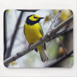 Alfombrilla De Ratón Warbler Mousepad