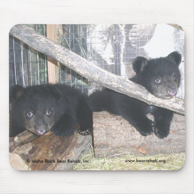 Alfombrilla De Ratón Washington hermana Mousepad 2009 (Frente)