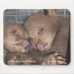 Alfombrilla De Ratón Washington hermana Mousepad 2010