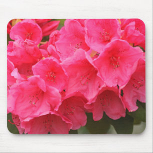 Alfombrilla De Ratón Washington, Seattle, Puget Sound, Discovery Park