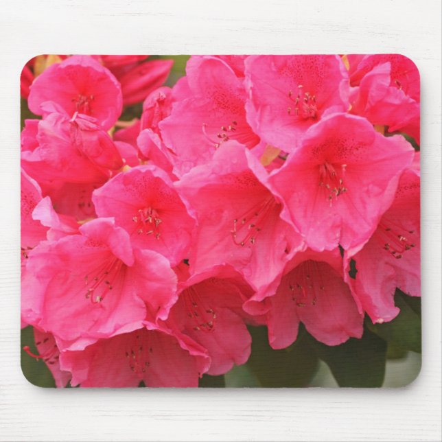 Alfombrilla De Ratón Washington, Seattle, Puget Sound, Discovery Park (Frente)