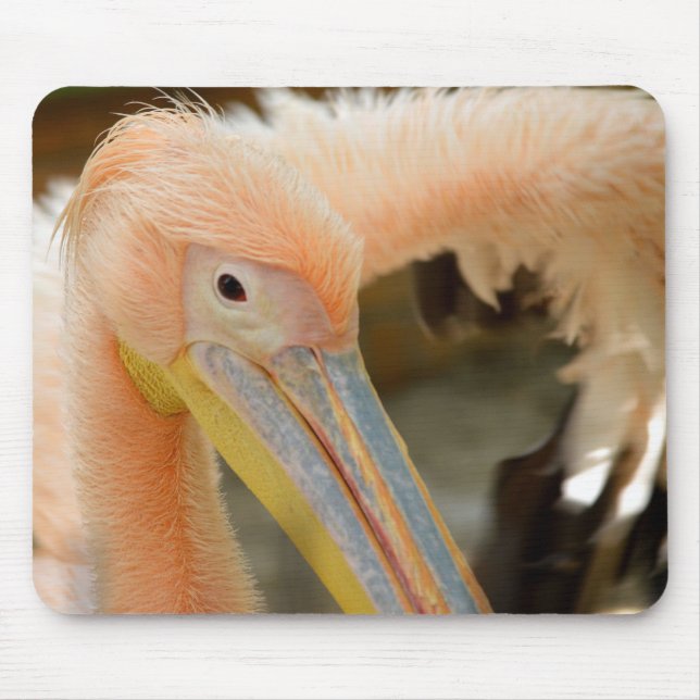 Alfombrilla De Ratón Watching You Pelican Mousepad (Frente)