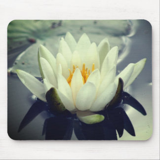 Alfombrilla De Ratón Water Lily Lotus Flower