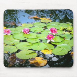 Alfombrilla De Ratón Waterlily