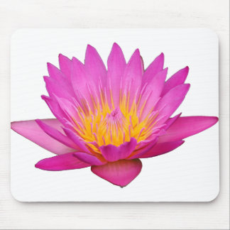 Alfombrilla De Ratón Waterlily magenta 2