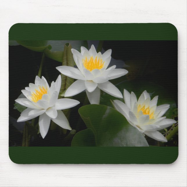 Alfombrilla De Ratón Waterlily Trio Mousepad (Frente)
