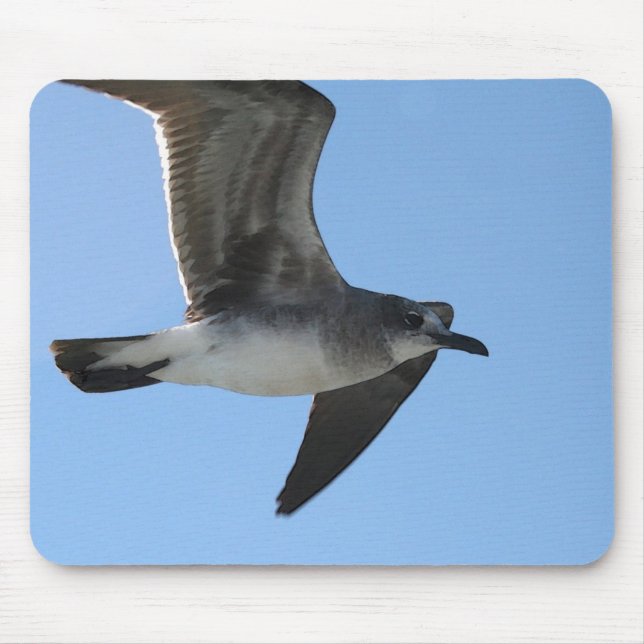 Alfombrilla De Ratón WC de la gaviota 1 de la P.M. 6482 (Frente)