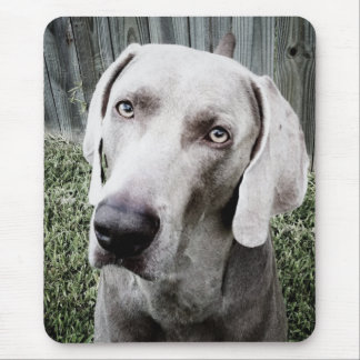 Alfombrilla De Ratón Weimaraner