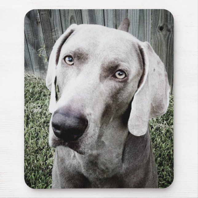 Alfombrilla De Ratón Weimaraner (Frente)