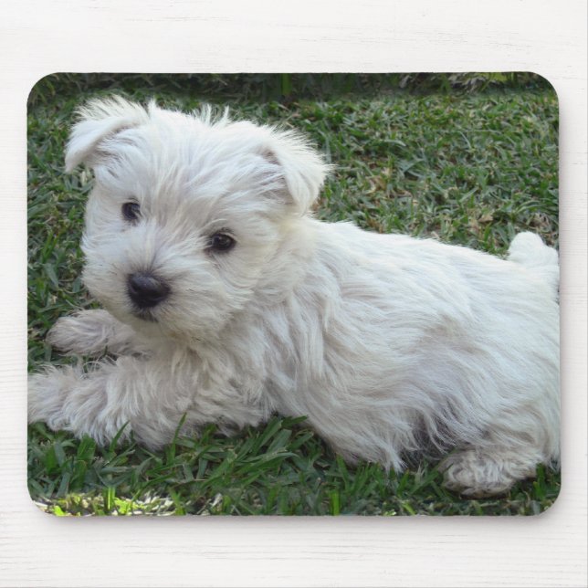 Alfombrilla De Ratón Westie (Frente)