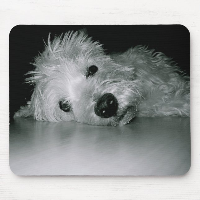 Alfombrilla De Ratón Westie que se relaja (Frente)