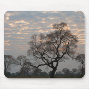 Alfombrilla De Ratón Wetlands Pantanal   Sudamérica, Brasil