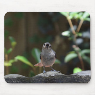 Alfombrilla De Ratón Whatcha Doin