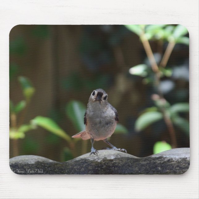 Alfombrilla De Ratón Whatcha Doin (Frente)