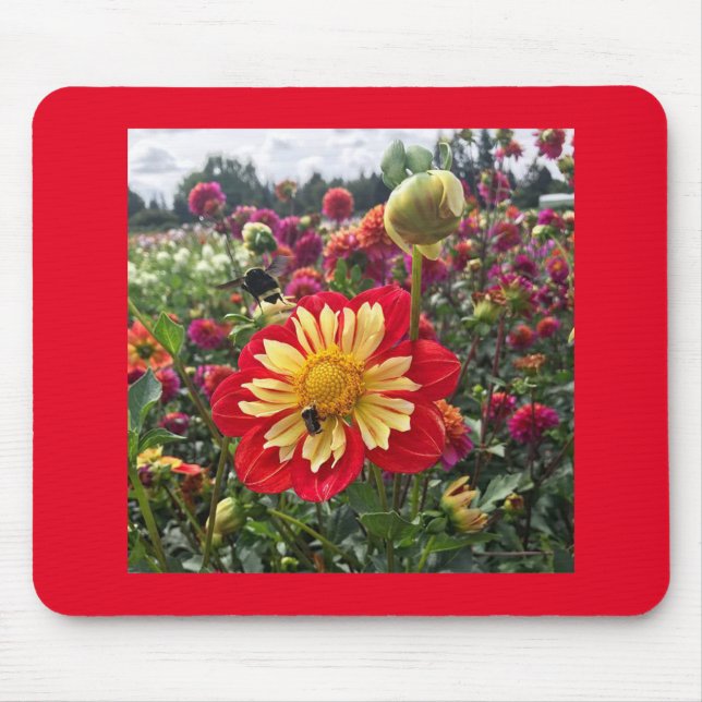 Alfombrilla De Ratón Wheels Dahlia (Frente)