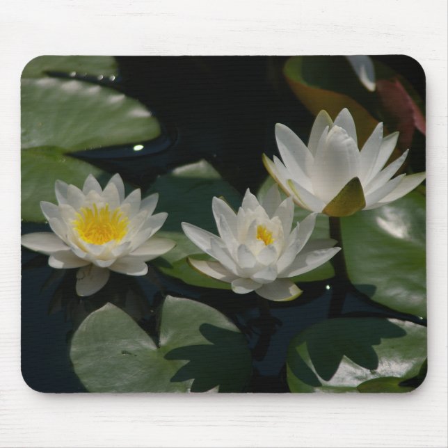 Alfombrilla De Ratón White Lotus Waterlilies Lily Pads Mouse Pad (Frente)