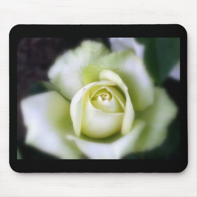 Alfombrilla De Ratón White Rose Soft Focus (Frente)