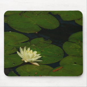Alfombrilla De Ratón White Waterlily I Fotografía Floral Pacífica