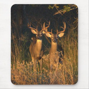 Alfombrilla De Ratón Whitetails de Tejas