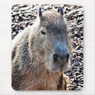 ALFOMBRILLA DE RATÓN WILD ANIMAL CAPYBARA