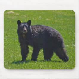 Alfombrilla De Ratón Wild Black Bear and Grass Wildlife Photo