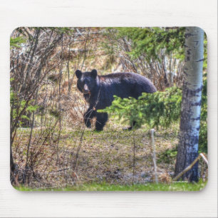 Alfombrilla De Ratón Wild Black Bear and Trees Wildlife Photo