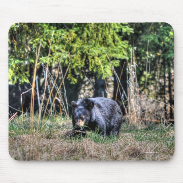 Alfombrilla De Ratón Wild Black Bear Cub & Forest Wildlife Photo #Gift (Frente)