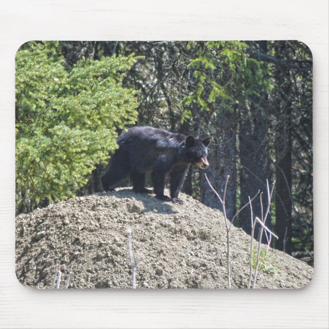 Alfombrilla De Ratón Wild Black Bear Cub & Mud Hill Wildlife Photo Gift (Frente)