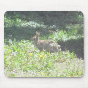 Alfombrilla De Ratón Wild Bunny Mousepad