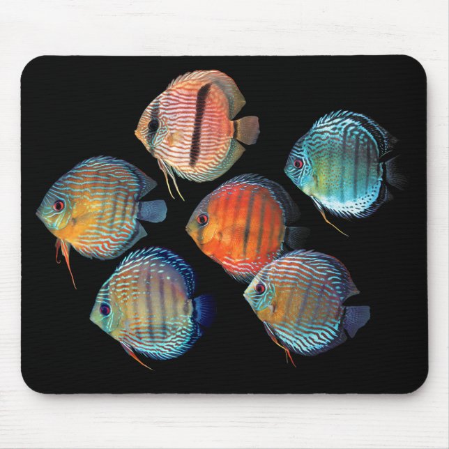 Alfombrilla De Ratón Wild Discus (Frente)