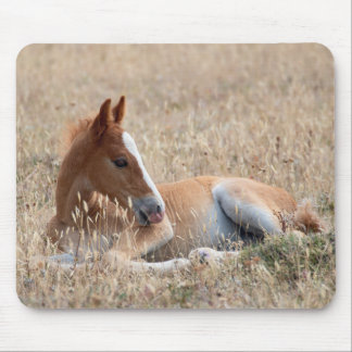 Alfombrilla De Ratón Wild Mustang Foal