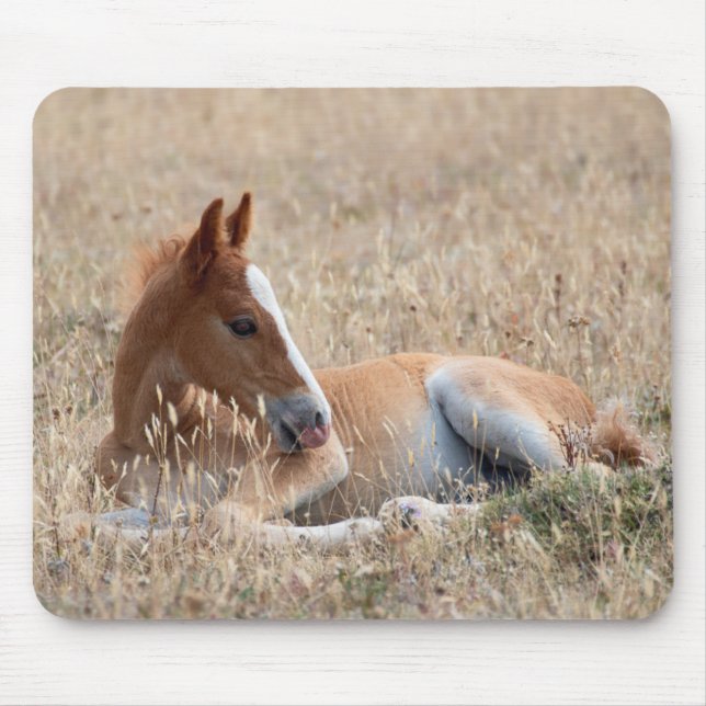 Alfombrilla De Ratón Wild Mustang Foal (Frente)