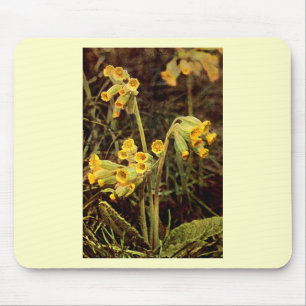 Alfombrilla De Ratón Wildflower: Cowslip