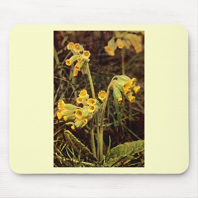 Alfombrilla De Ratón Wildflower: Cowslip (Frente)