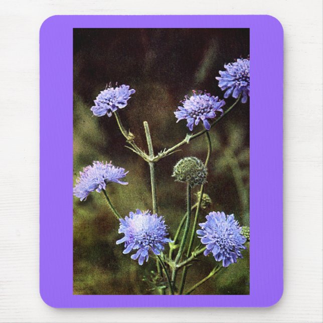 Alfombrilla De Ratón Wildflower: Field Scabious (Frente)