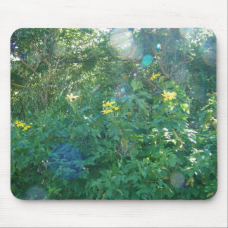 Alfombrilla De Ratón Wildflowers hawaianos amarillos de Kauai Hawaii
