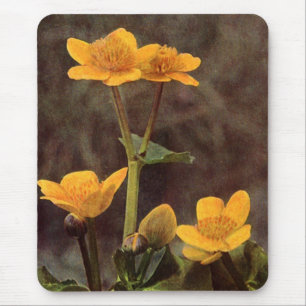 Alfombrilla De Ratón Wildflowers: Marsh Marigold